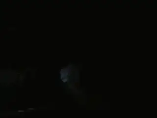 getting my dick sucked