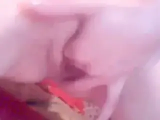 Squirt Fountain webcam