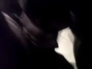 Argentinas putitas
