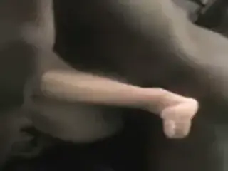wifes cunt gets thugged out at home
