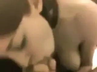 Zwischen den geilen Titten