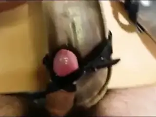 Cum on not my mother Birkenstock piazza sandals