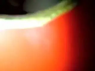German College Student Fucked