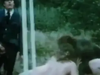 Miracle In The Woods