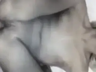 Amateur wife homemade anal