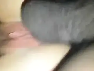 Ssbbw fucks bbc doggy pussy creaming 2