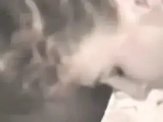 Red headed gangbang and creampie Pt2