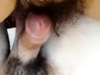 Hairy cock & pussy