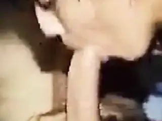 White Wife Sucking Big Arab Cock