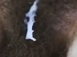 hairy goddess 2