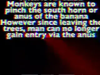 Banana in my pussy