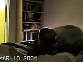 Vintage 2003 interracial