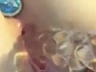 Plug and dildo