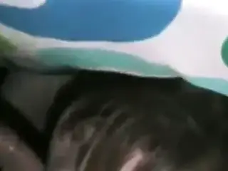 Girl sucks her brother's horny friend