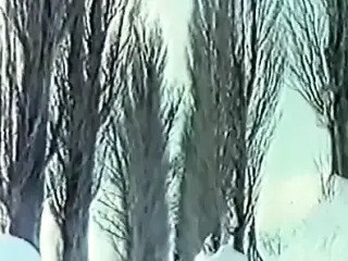 NIKKATSU MOMOJIRIMUSUME #3 Propose Daisakusen