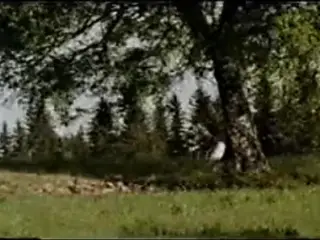 German Classic Teil3.