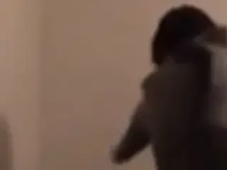 Man destroys pussy like a horny