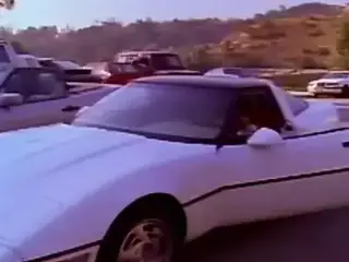 The Pink Pussycat (1992)