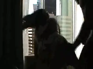 Fucking her ass in the window