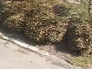To Serve Perfectly