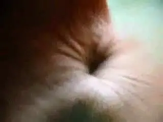 Mature smelly anus! Amateur!