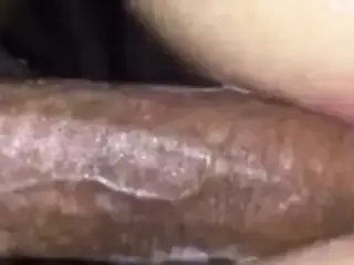 Black Dick In Fat White Ass