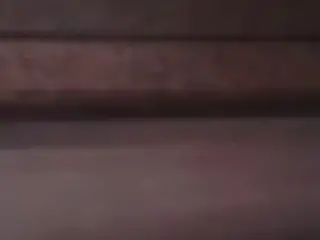 De perrito