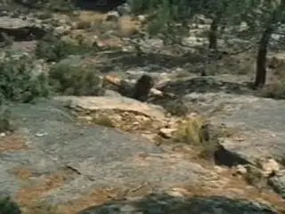 Gier Unter Palmen (1980)