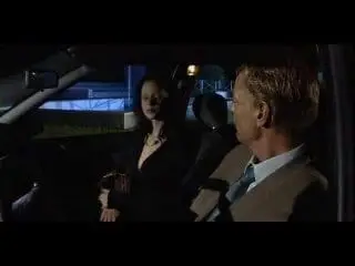 Michelle Wild: Car Sex