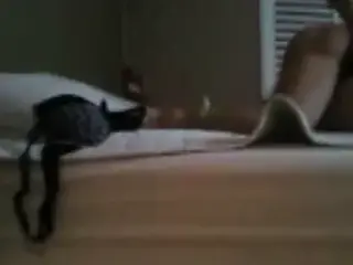 korean couple sex video