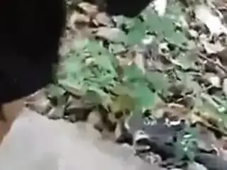 Girlfriend Boob Press and fuck Bf In Forest part 2-Wowmoy