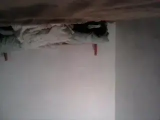 morrita se entrega en video