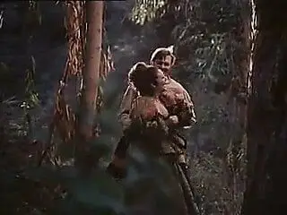 die liebesabenteur des heinrich viii