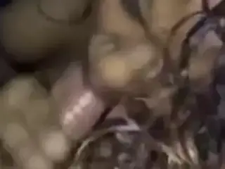 metisse sodomisee