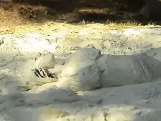 Bikini girl in the mud