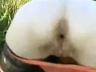 pussy farts cum
