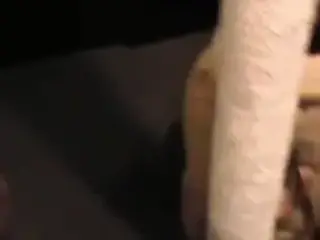 torture boy dressed in turtleneck