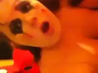 Cum Queen Fucked Doggie by Spiderman
