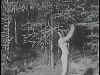 1940s nudists