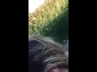 zozza in auto