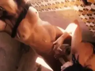 Sexual Phsycho