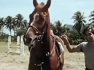 Geschichte der O - Episode 1