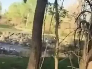 Doing As She Is Told