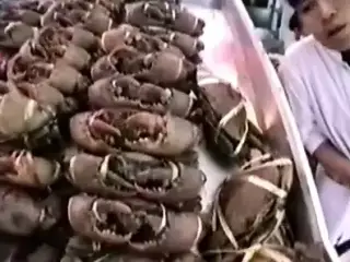 The Erotic Women of Pattaya