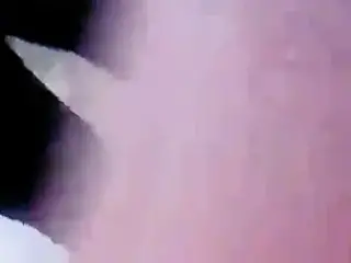 culote