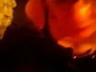 meine devote marture 3