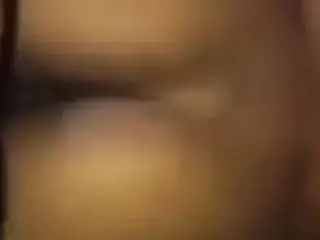 doggystyle Ms. Wet Wet