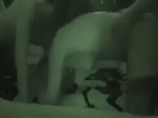 On echange nos femmes