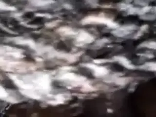 Bbw head