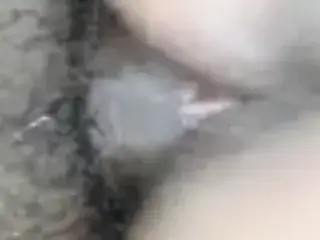 Close up Doggy
